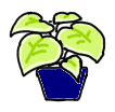 baby_diary_plant_large_leafs